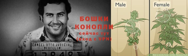альфа пвп Горнозаводск
