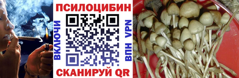 Псилоцибиновые грибы MAGIC MUSHROOMS  Дюртюли 