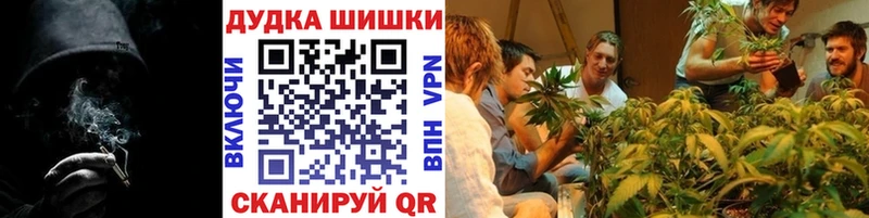 дарнет шоп  Дюртюли  Бошки марихуана THC 21% 